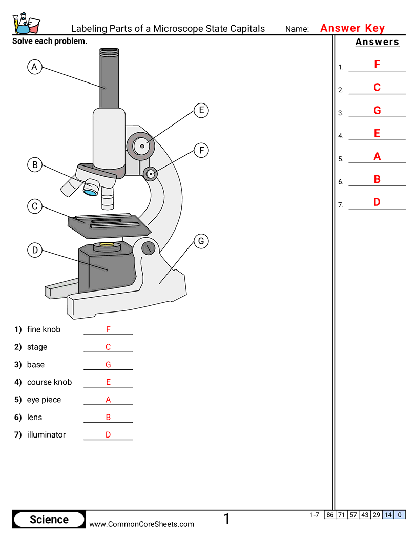 Science Tools Worksheets - 11554 worksheet