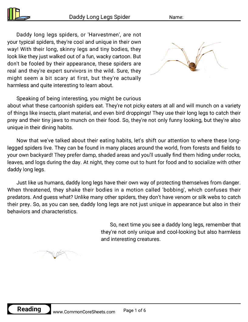 Reading Comprehension Spiders Worksheets - daddy-long-legs-spider worksheet