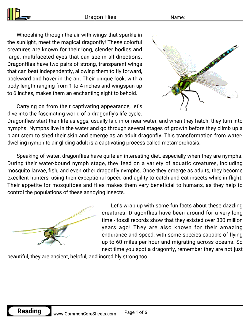 Reading Comprehension Insects Worksheets - Dragon Flies worksheet
