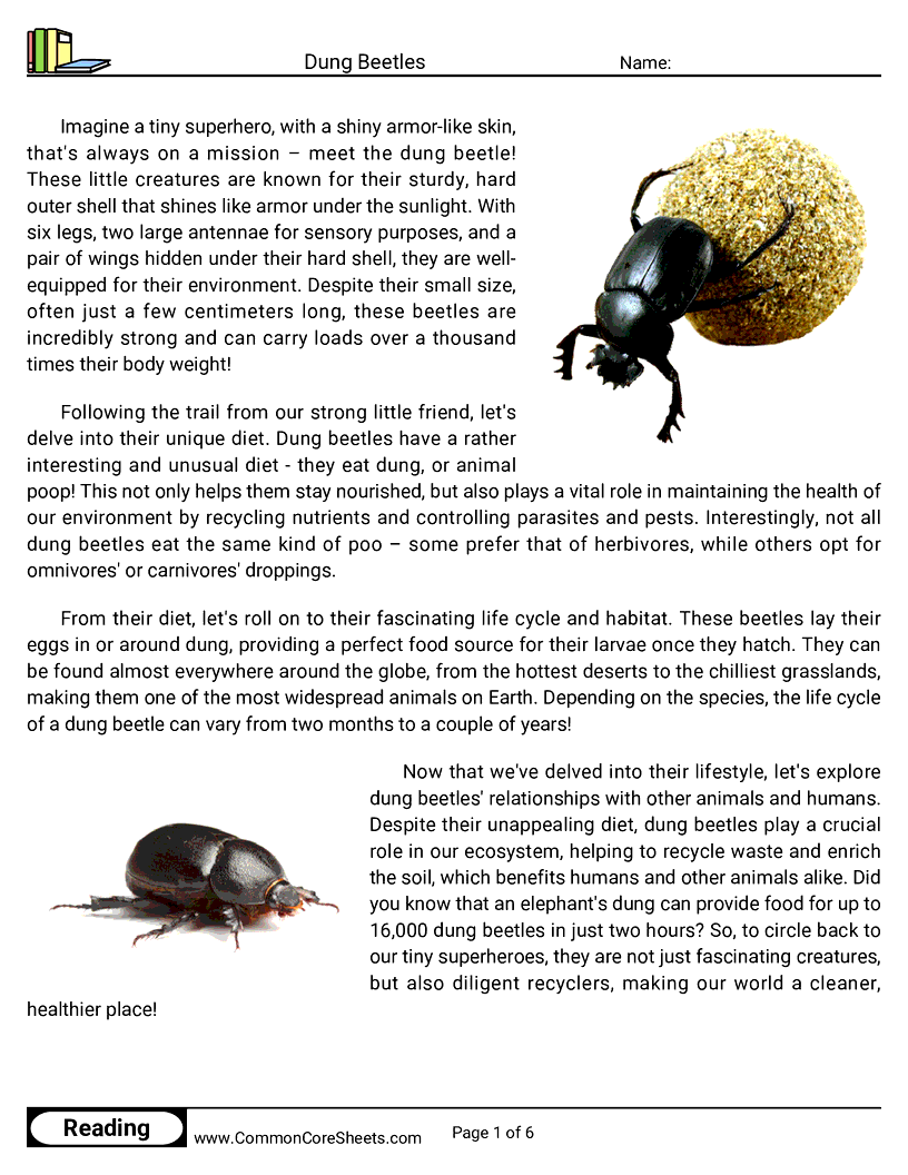 Reading Comprehension Insects Worksheets - Dung Beetles worksheet
