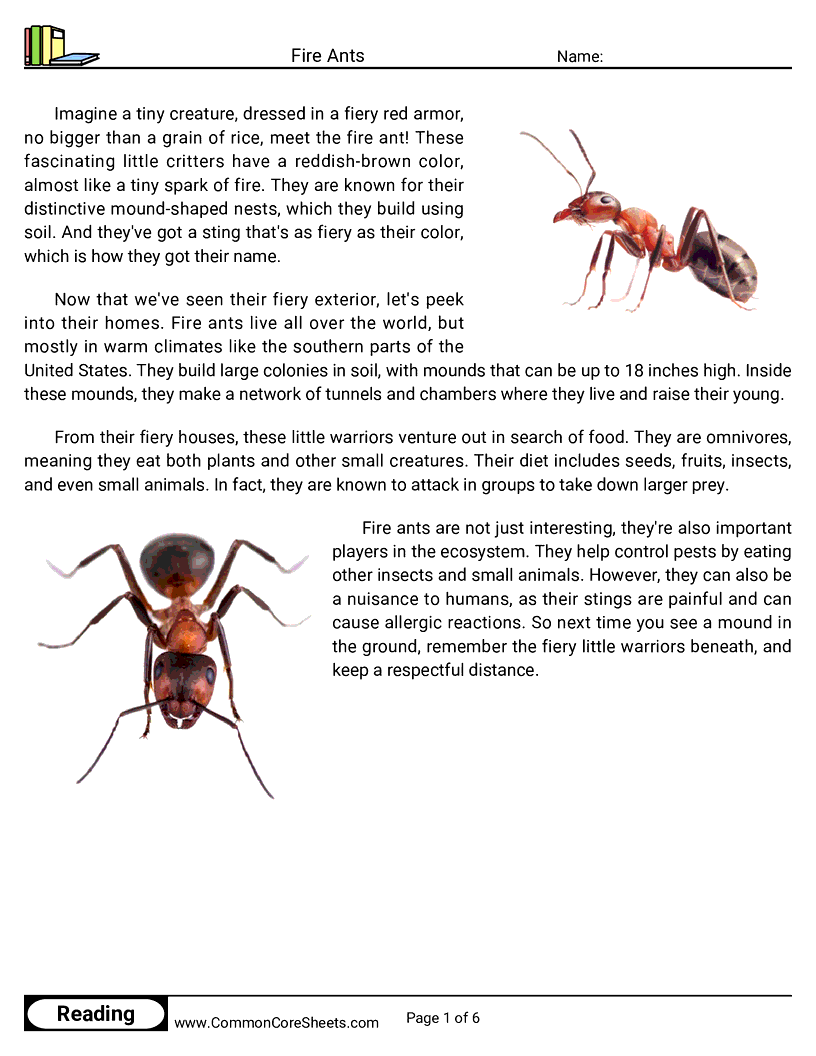 Reading Comprehension Insects Worksheets - Fire Ants worksheet