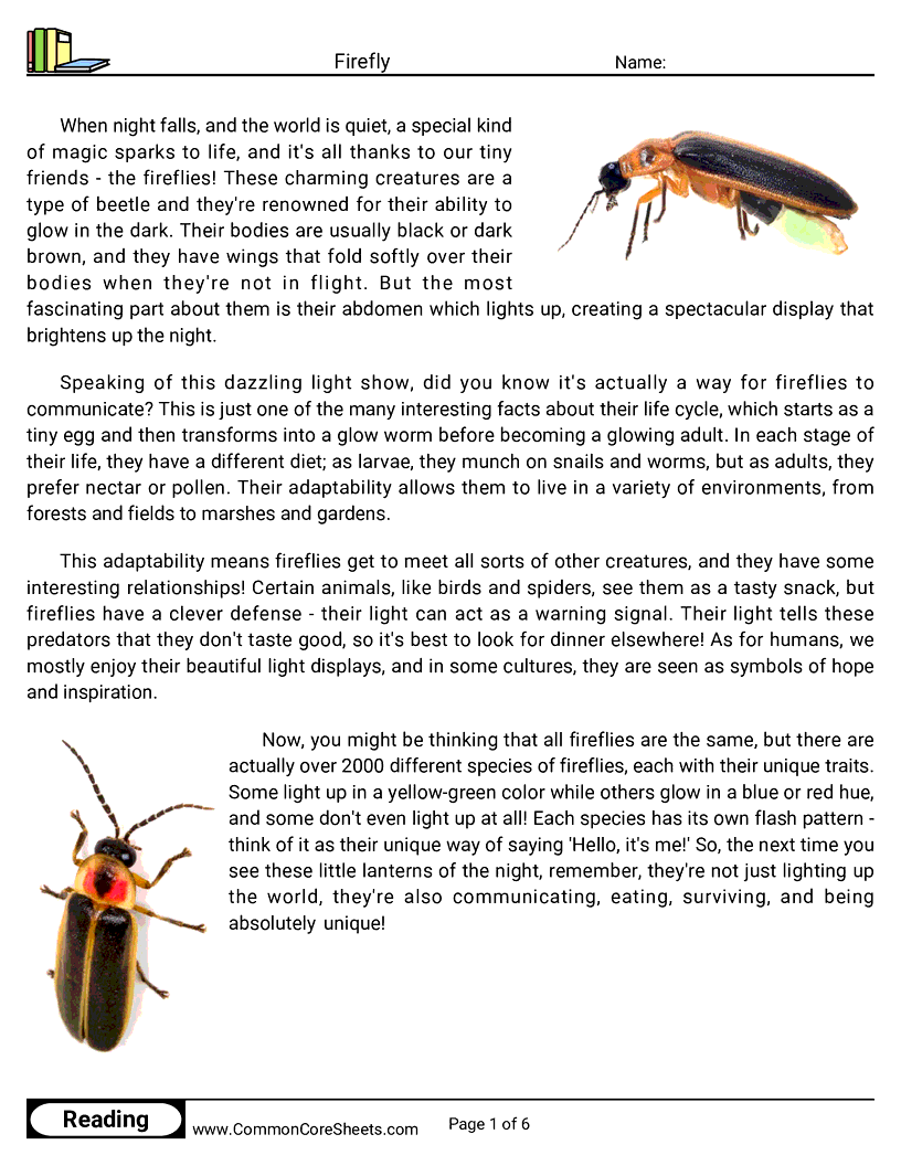 Reading Comprehension Insects Worksheets - Firefly worksheet