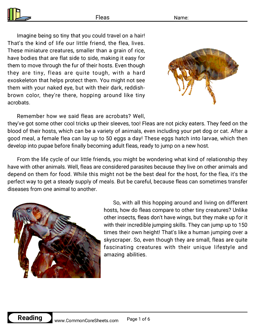 Reading Comprehension Insects Worksheets - Fleas worksheet