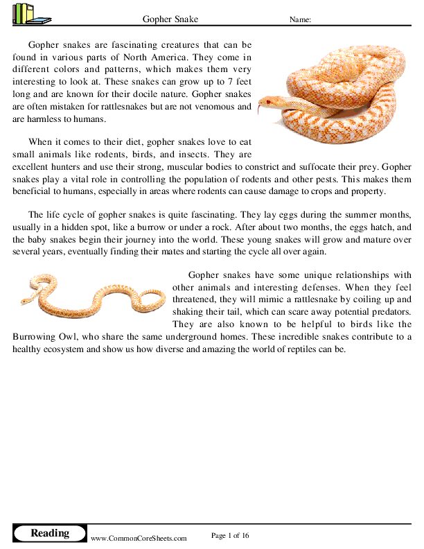  - gopher-snake worksheet