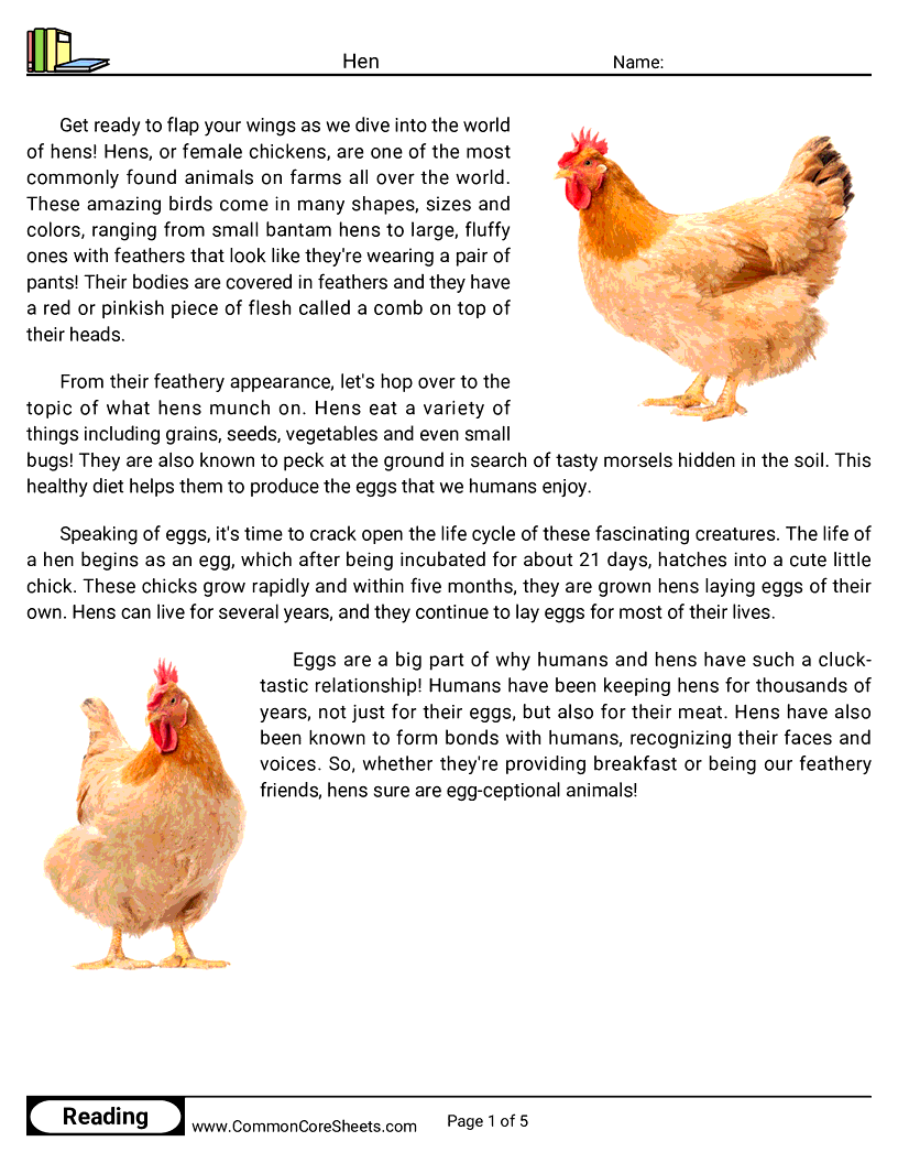 Reading Comprehension Birds Worksheets - hen worksheet