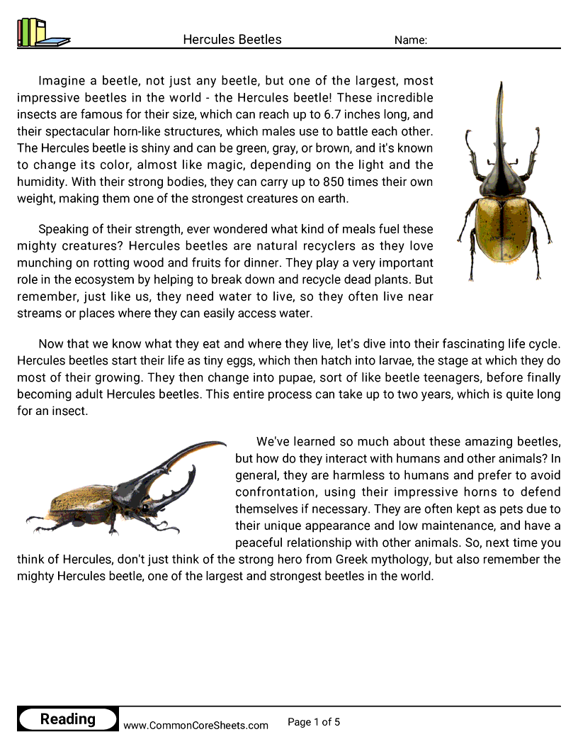 Reading Comprehension Insects Worksheets - Hercules Beetles worksheet