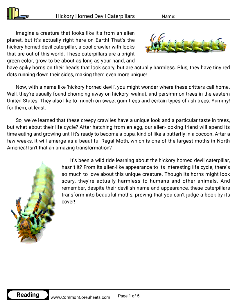 Reading Comprehension Insects Worksheets - Hickory Horned Devil Caterpillars worksheet