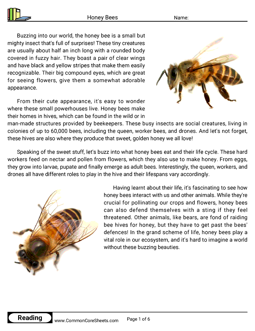 Reading Comprehension Insects Worksheets - Honey Bees worksheet