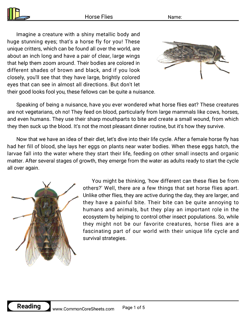 Reading Comprehension Insects Worksheets - Horse Flies worksheet