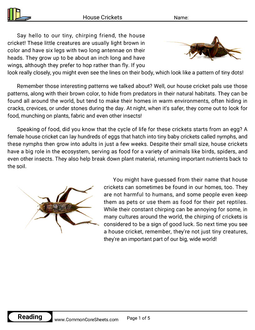 Reading Comprehension Insects Worksheets - House Crickets worksheet