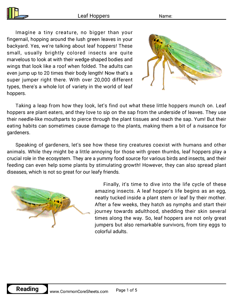 Reading Comprehension Insects Worksheets - Leaf Hoppers worksheet