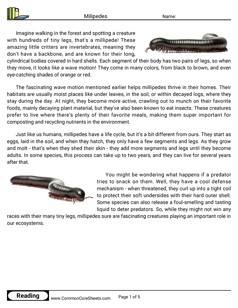 Reading Comprehension Insects Worksheets - Milipedes worksheet