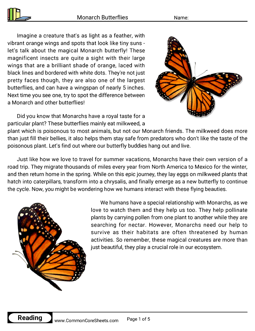 Reading Comprehension Insects Worksheets - Monarch Butterflies worksheet