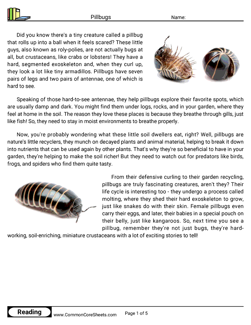 Reading Comprehension Insects Worksheets - Pillbugs worksheet