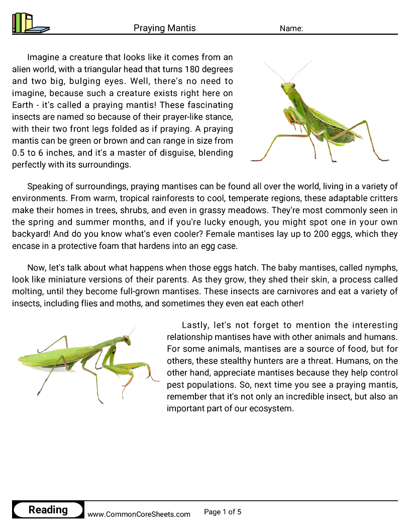 Reading Comprehension Insects Worksheets - Praying Mantis worksheet