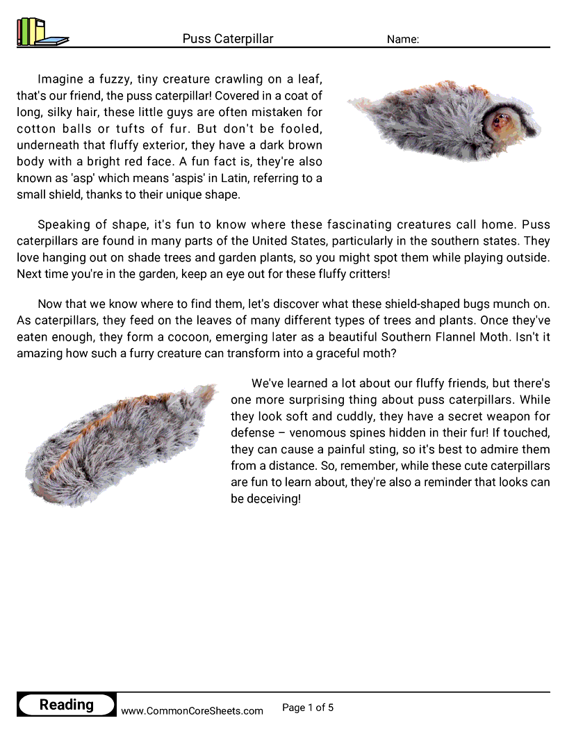 Reading Comprehension Insects Worksheets - Puss Caterpillar worksheet