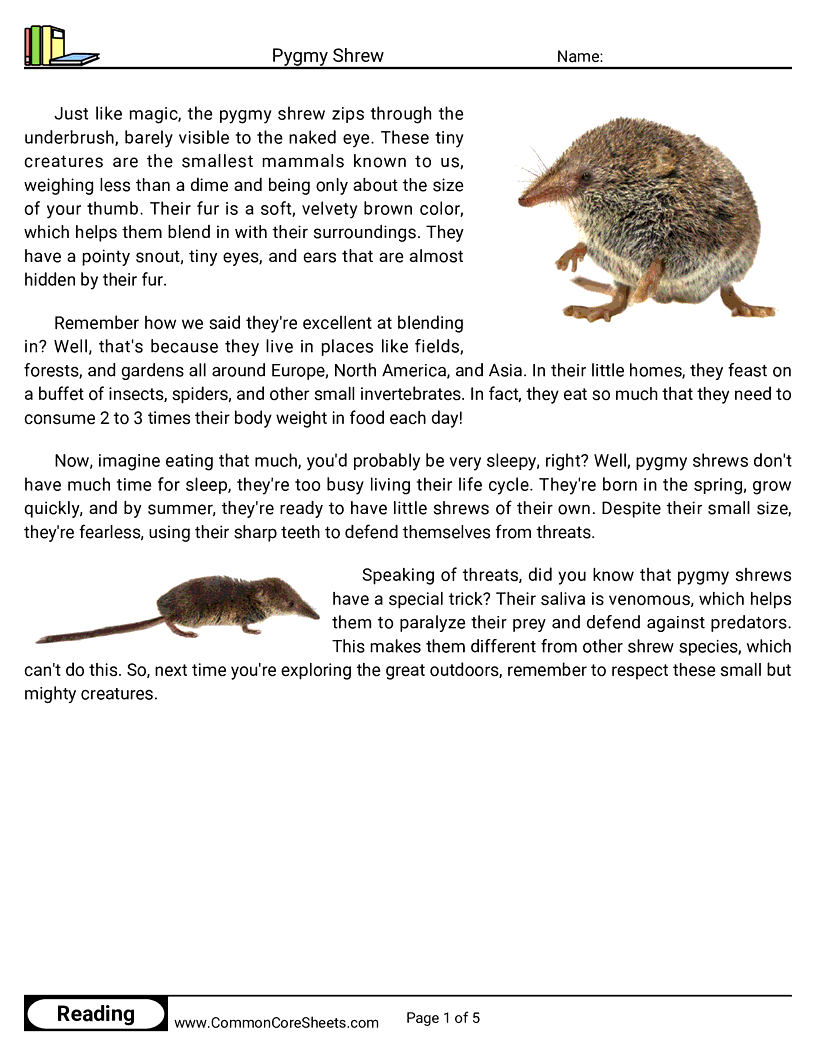 Reading Comprehension Mammals - pygmy-shrew worksheet