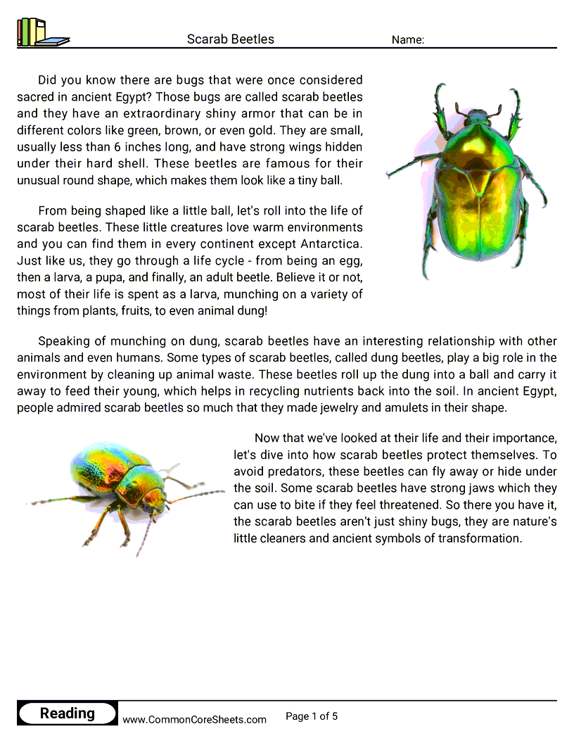 Reading Comprehension Insects Worksheets - Scarab Beetles worksheet