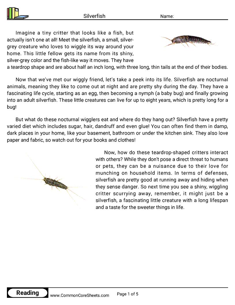 Reading Comprehension Insects Worksheets - Silverfish worksheet