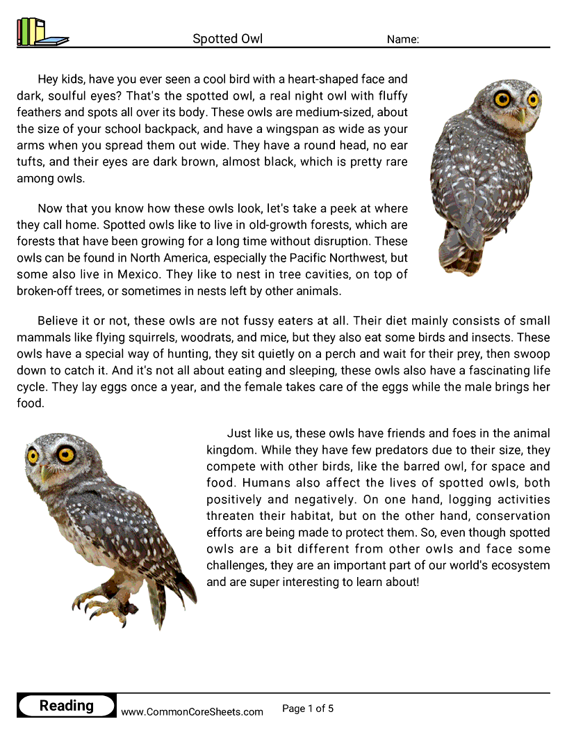 Reading Comprehension Birds Worksheets - spotted-owl worksheet