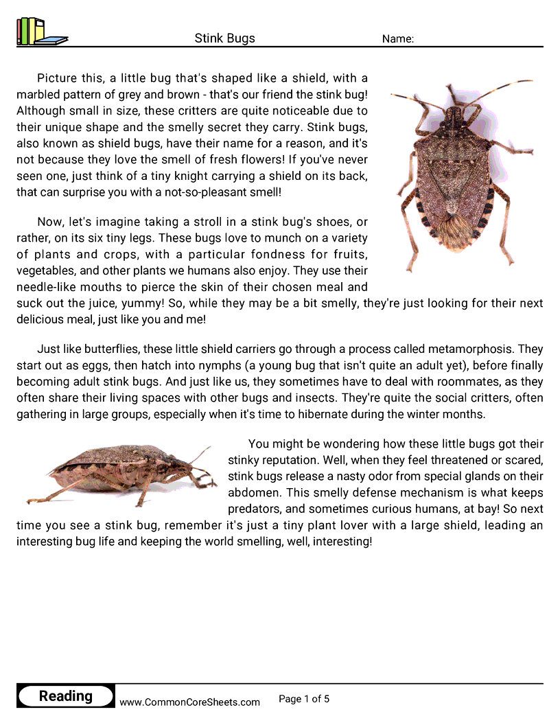Reading Comprehension Insects Worksheets - Stink Bugs worksheet