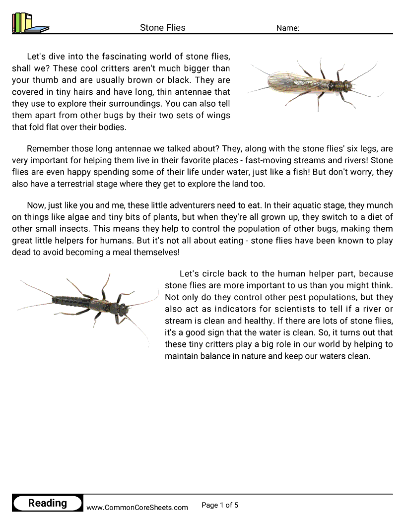 Reading Comprehension Insects Worksheets - Stone Flies worksheet