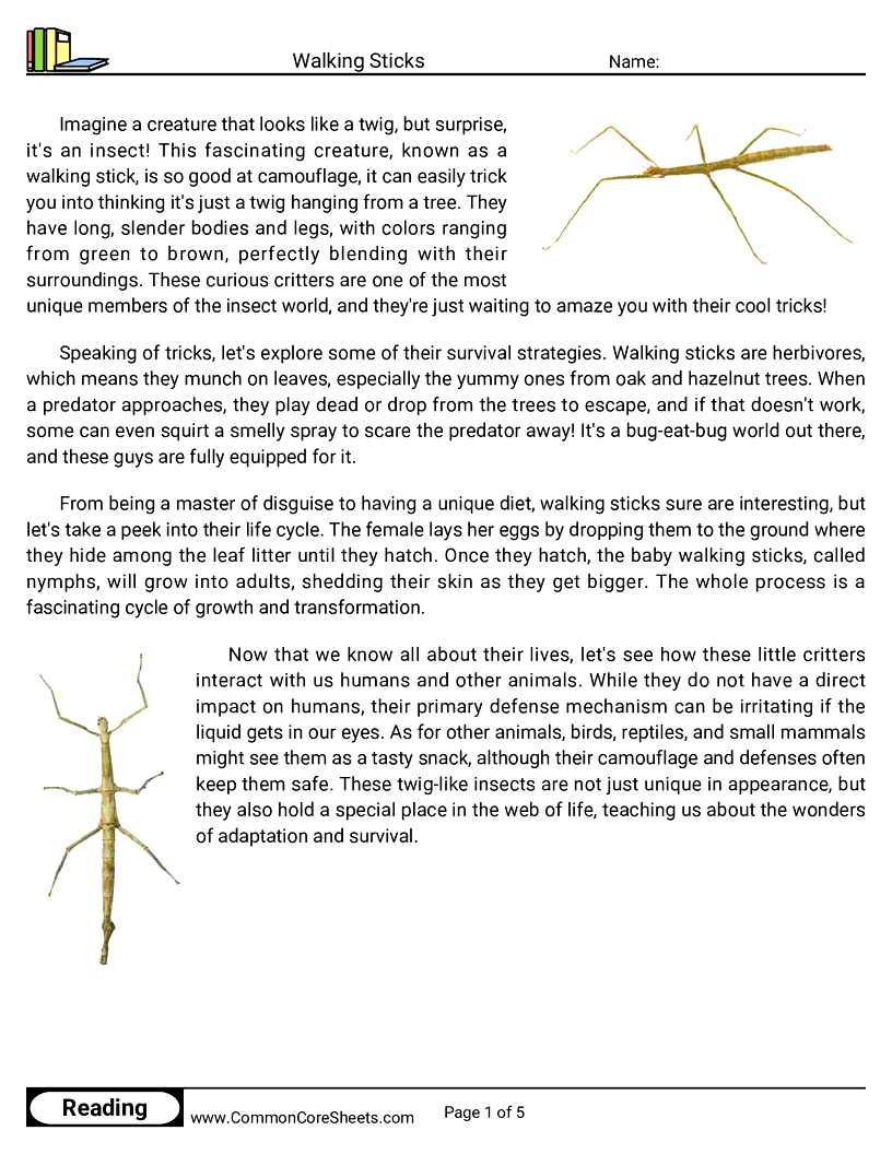 Reading Comprehension Insects Worksheets - Walking Sticks worksheet