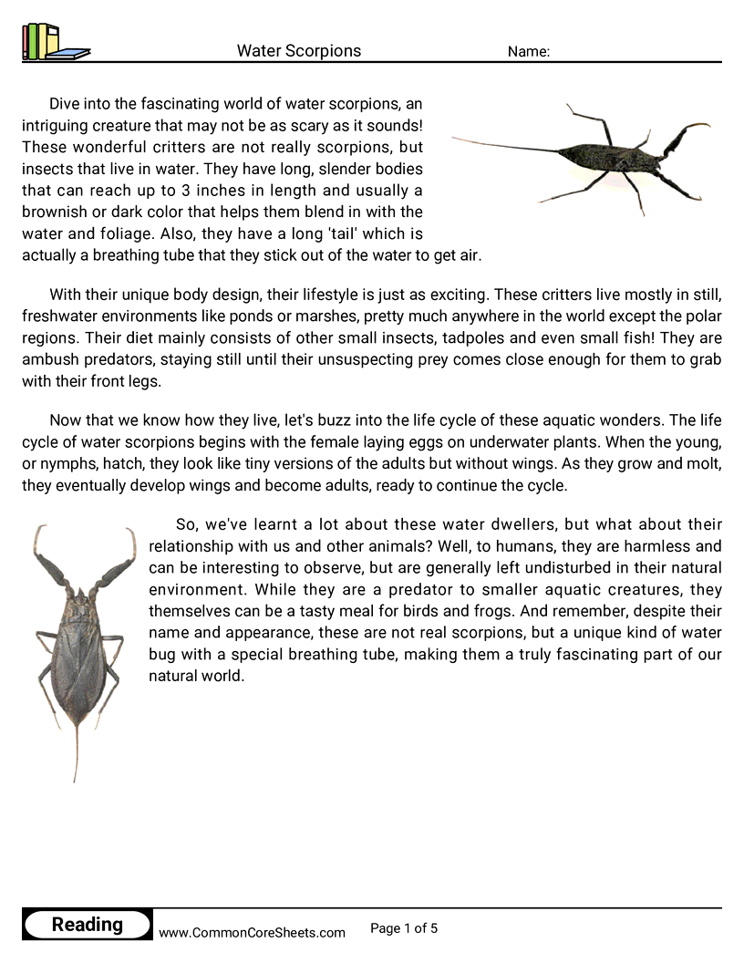 Reading Comprehension Insects Worksheets - Water Scorpions worksheet