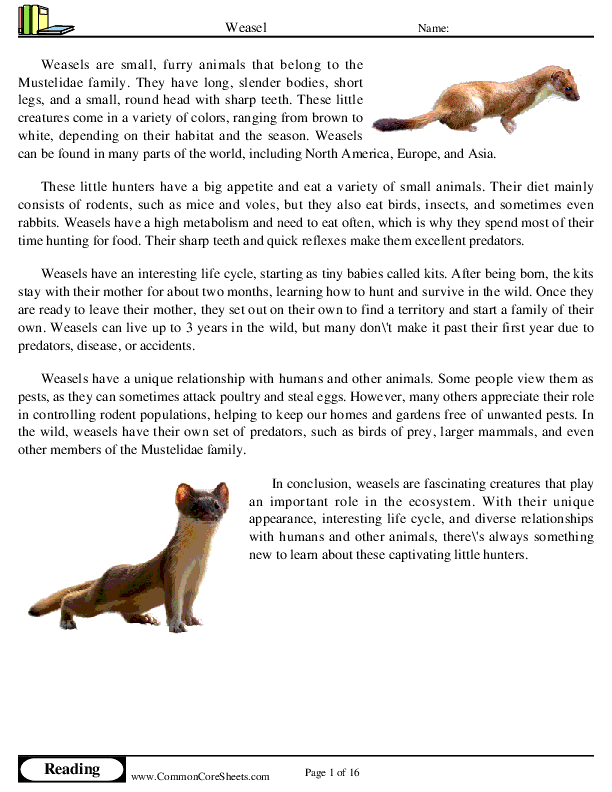  - weasel worksheet