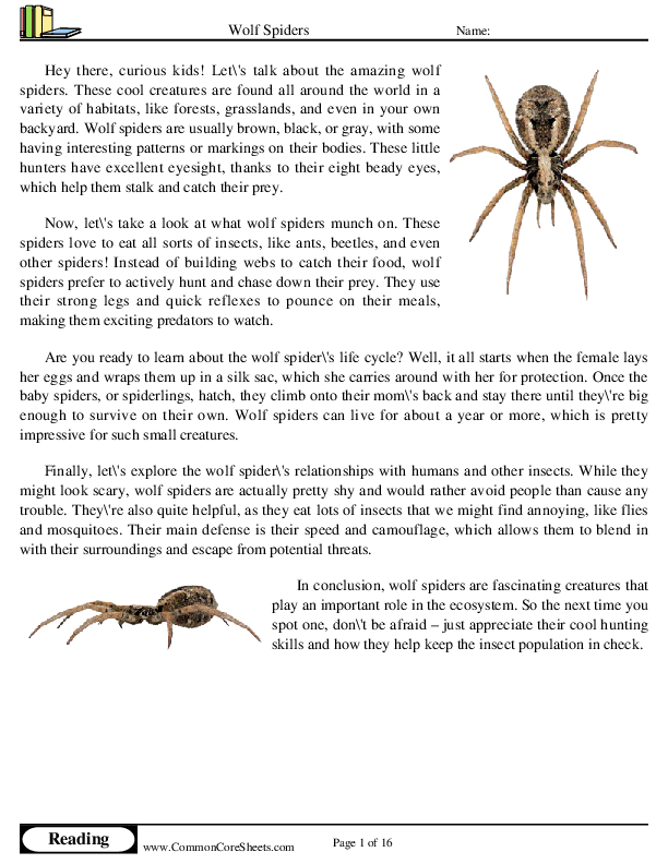  - wolf-spiders worksheet