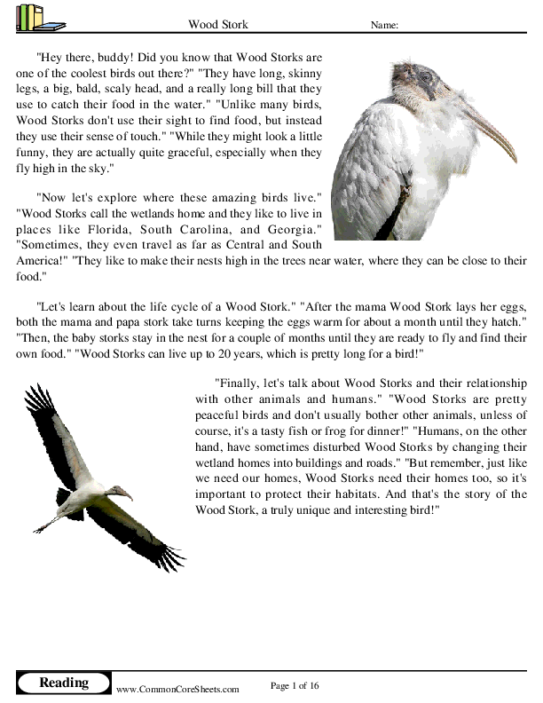  - wood-stork worksheet