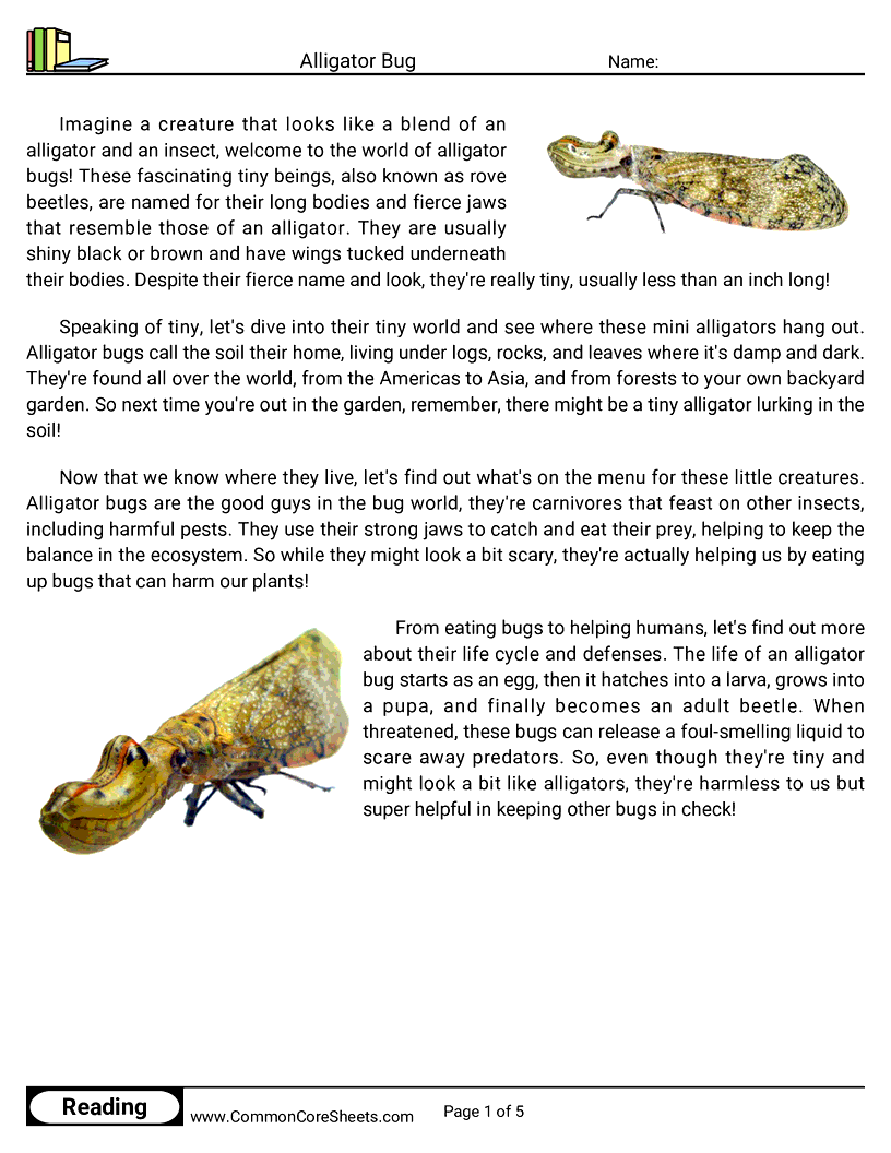 Reading Comprehension Insects Worksheets - Alligator Bug worksheet