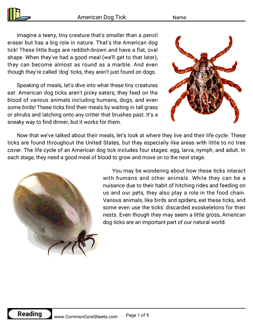 Reading Comprehension Spiders Worksheets - american-dog-tick worksheet