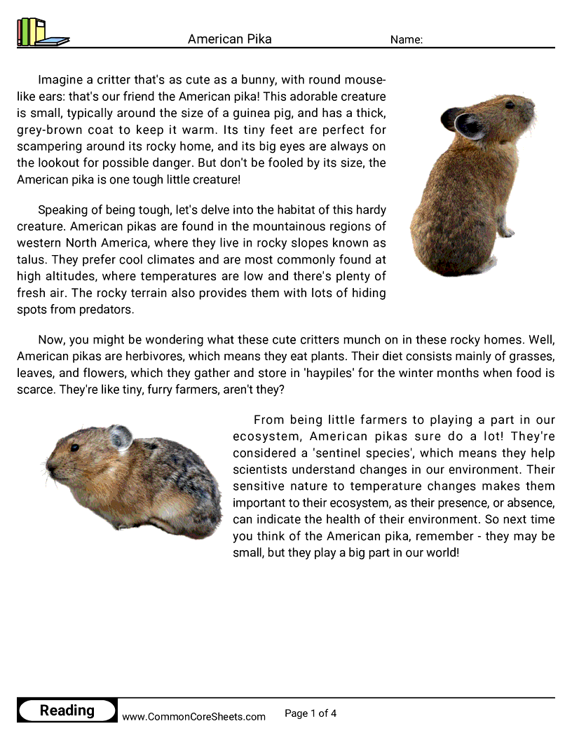 Reading Comprehension Mammals - american-pika worksheet