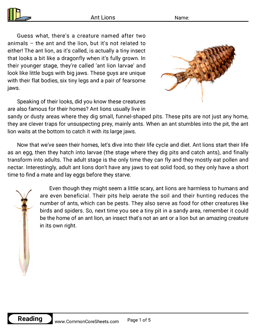 Reading Comprehension Insects Worksheets - Ant Lions worksheet