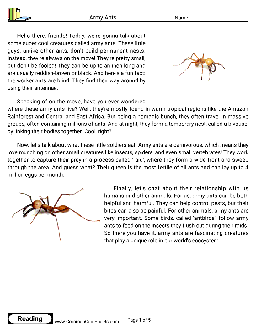 Reading Comprehension Insects Worksheets - Army Ants worksheet