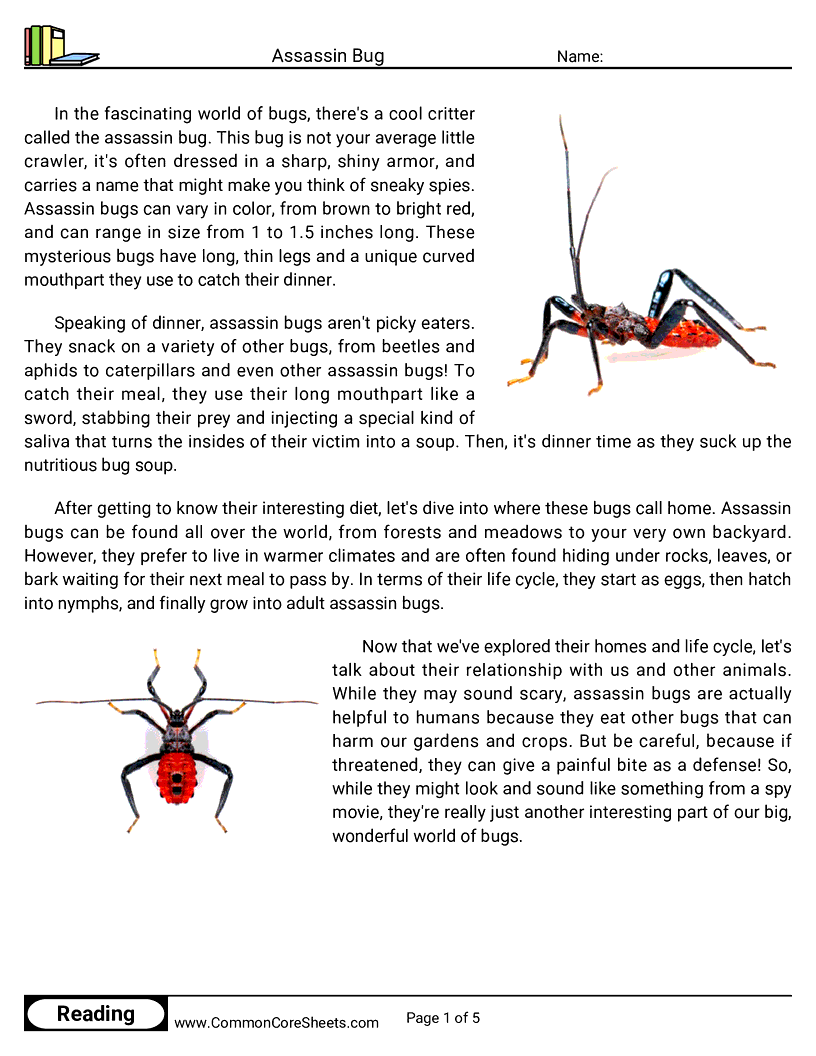Reading Comprehension Insects Worksheets - Assassin Bug worksheet