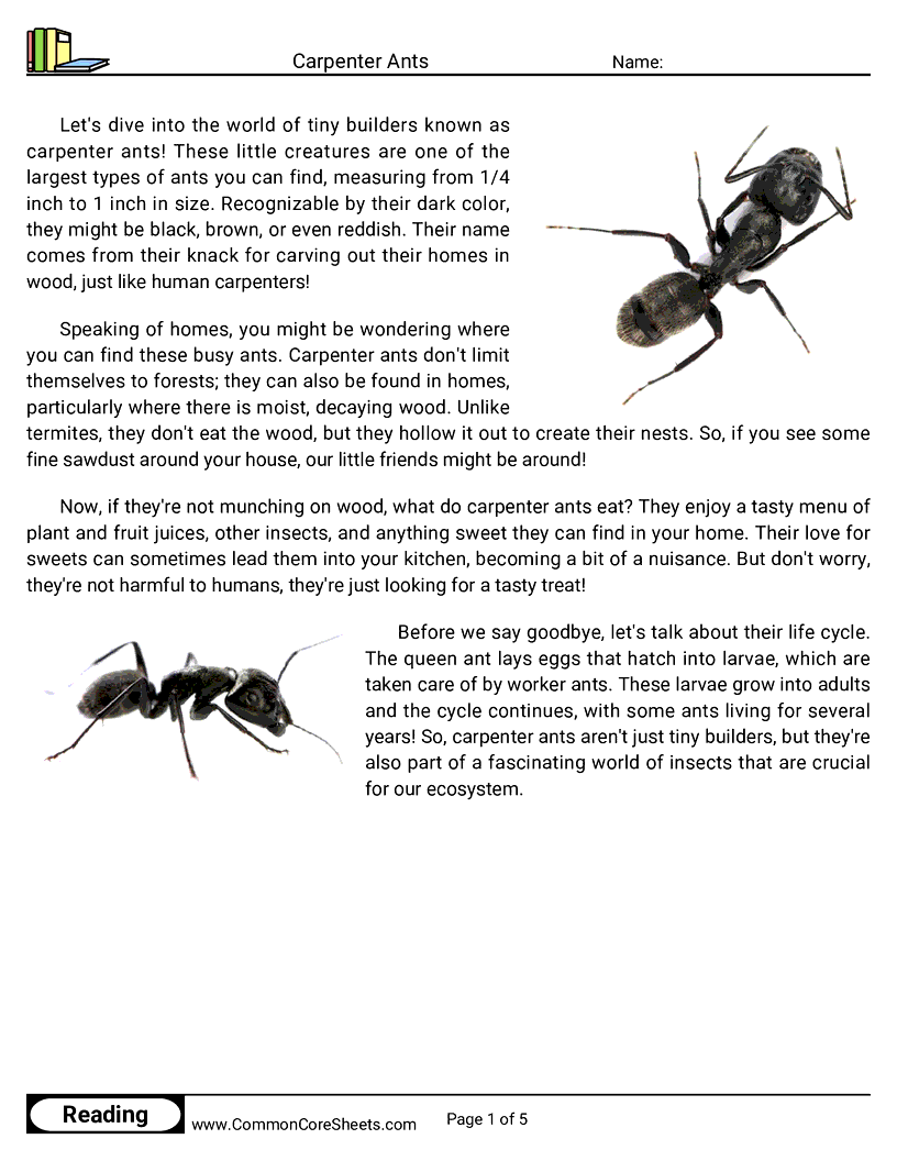 Reading Comprehension Insects Worksheets - Carpenter Ants worksheet
