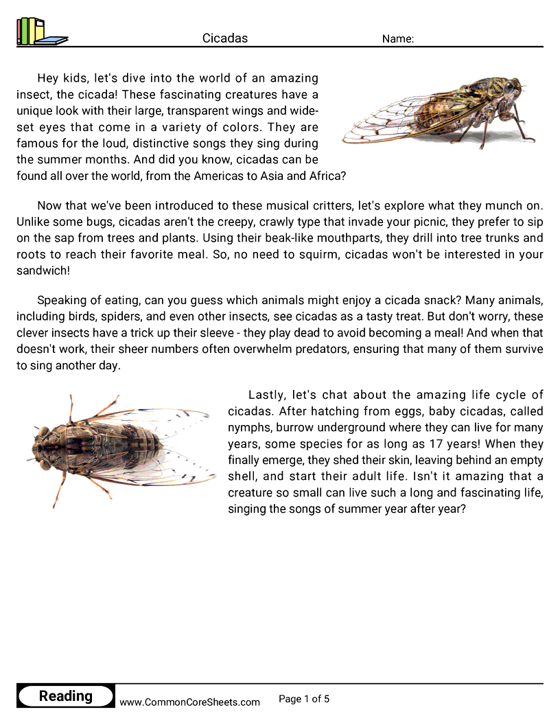 Reading Comprehension Insects Worksheets - Cicadas worksheet