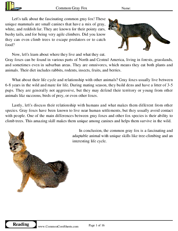  - common-gray-fox worksheet