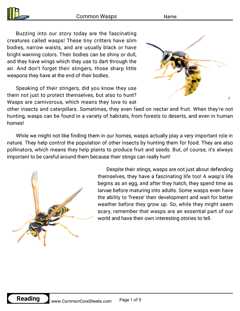 Reading Comprehension Insects Worksheets - Common Wasps worksheet