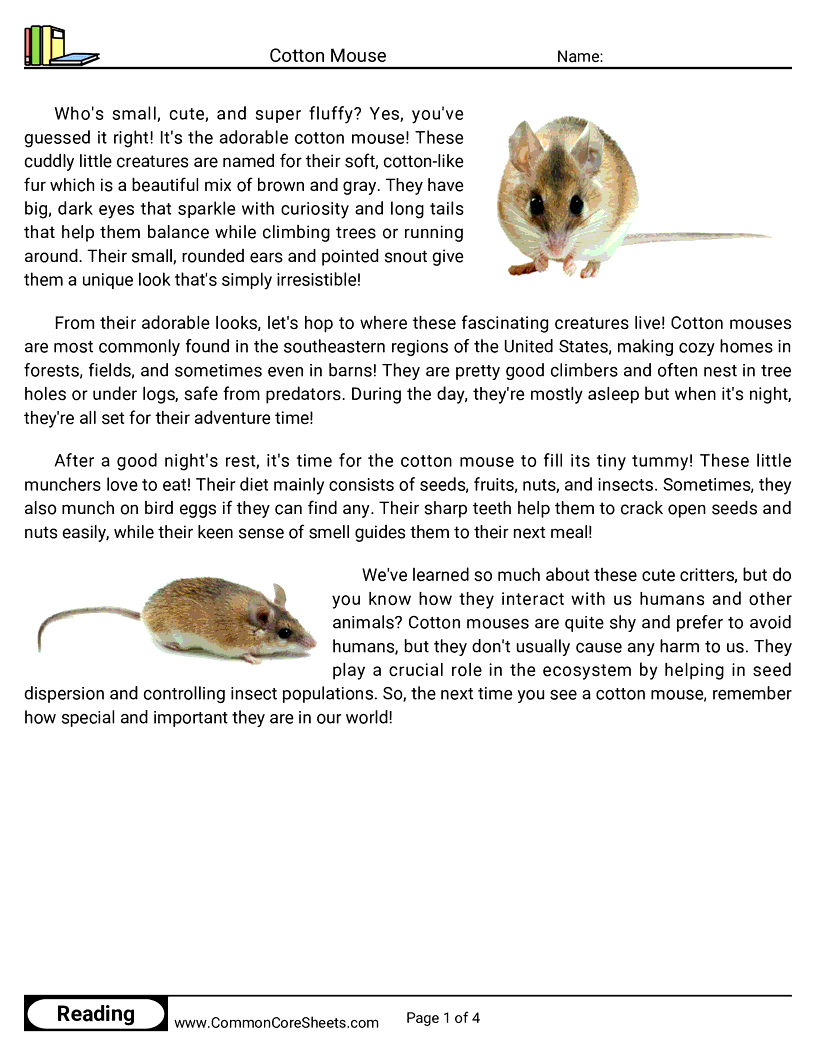 Reading Comprehension Mammals - cotton-mouse worksheet