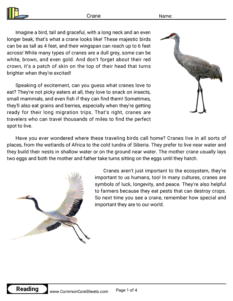 Reading Comprehension Birds Worksheets - crane worksheet