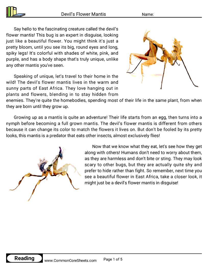 Reading Comprehension Insects Worksheets - Devil’s Flower Mantis worksheet