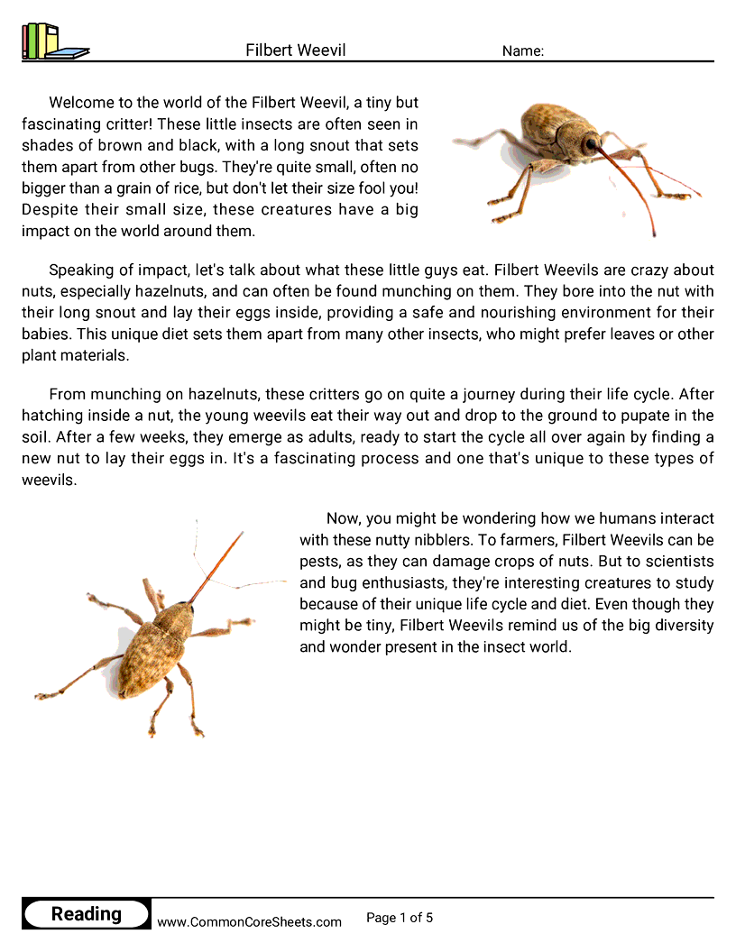 Reading Comprehension Insects Worksheets - Filbert Weevil worksheet