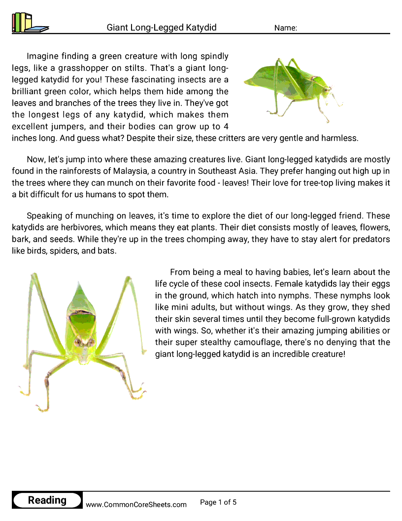 Reading Comprehension Insects Worksheets - Giant Long-Legged Katydid worksheet