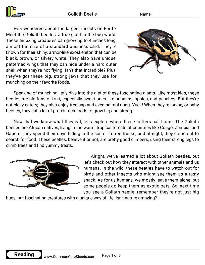 Reading Comprehension Insects Worksheets - Goliath Beetle worksheet
