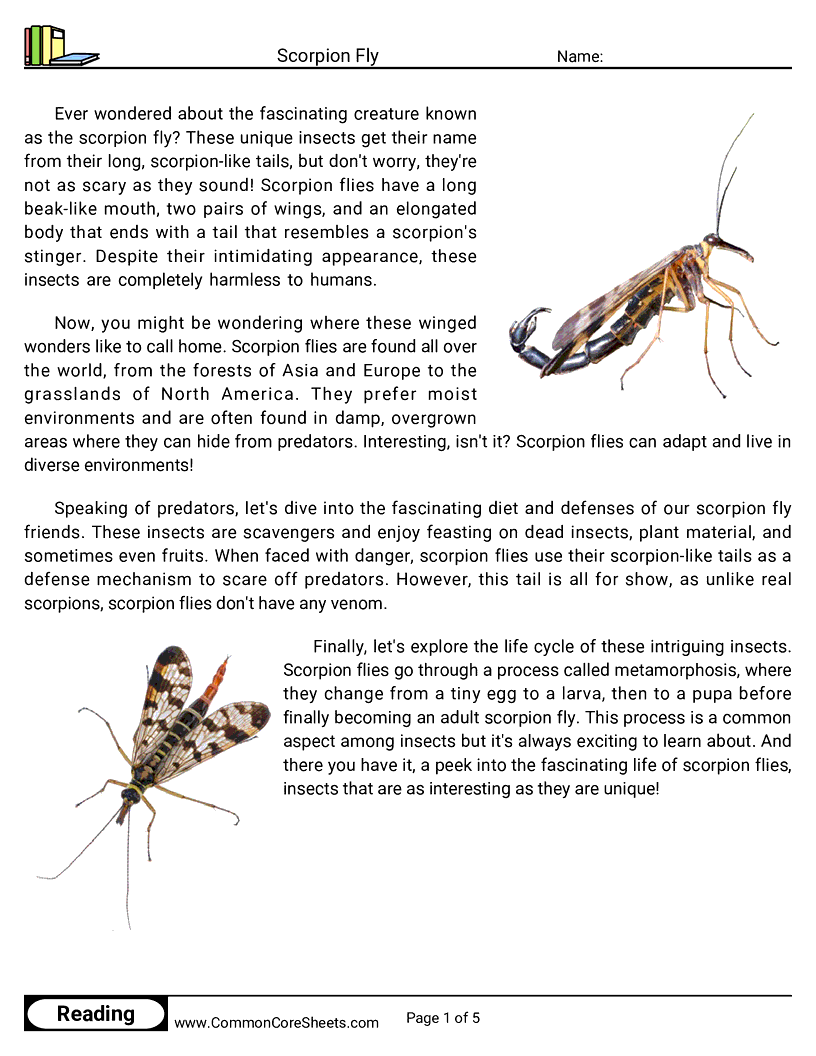 Reading Comprehension Insects Worksheets - Scorpion Fly worksheet