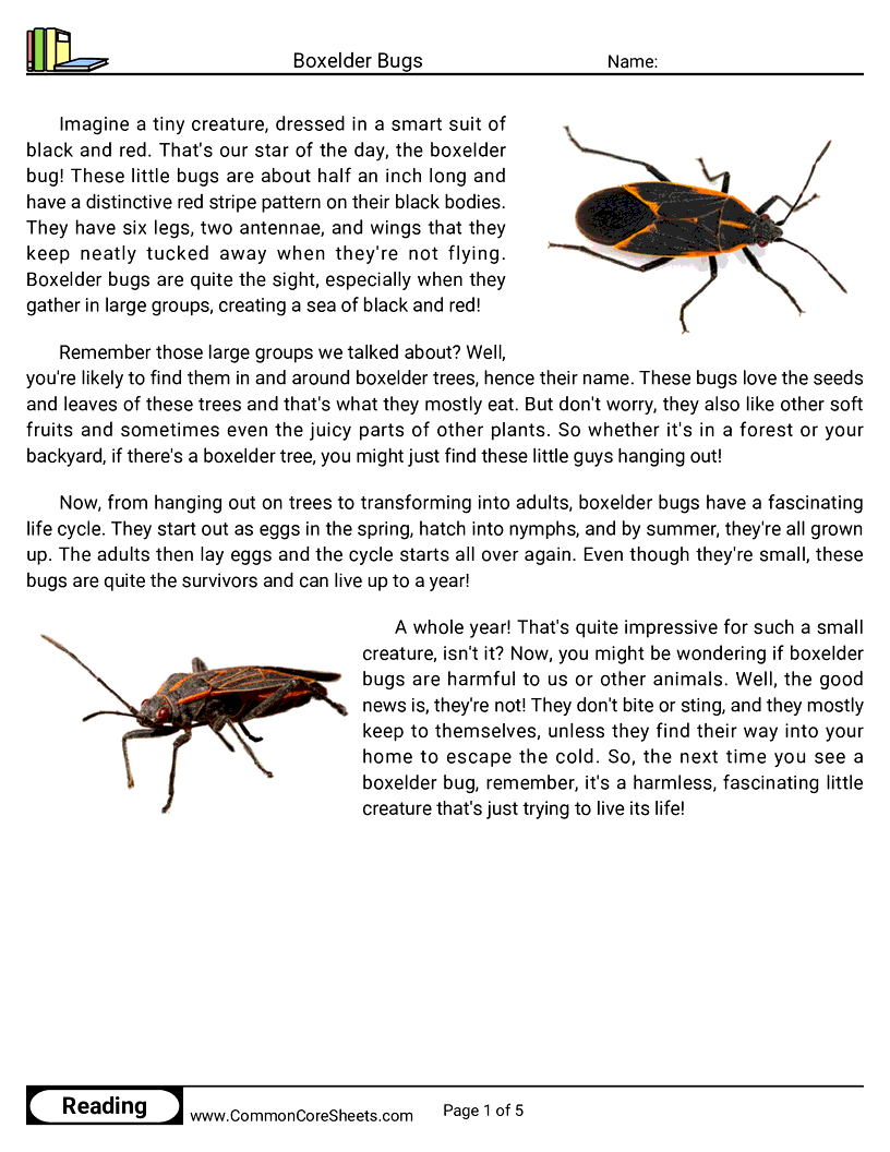 Reading Comprehension Insects Worksheets - Boxelder Bugs worksheet