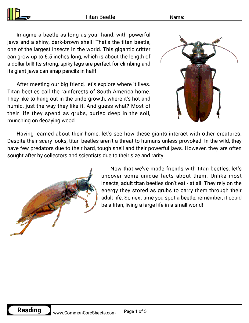 Reading Comprehension Insects Worksheets - Titan Beetle worksheet